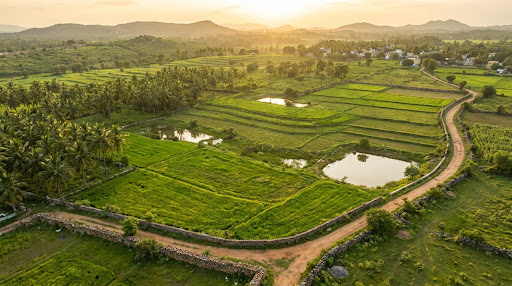Tamil Nadu Agricultural Lands